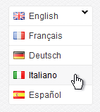 language-switcher